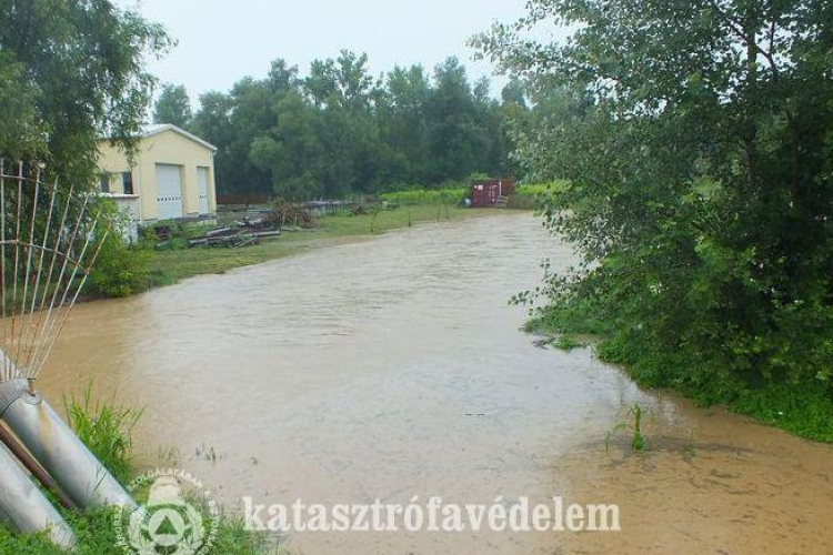 Elöntött pince, kidőlt fa, megáradt patakok