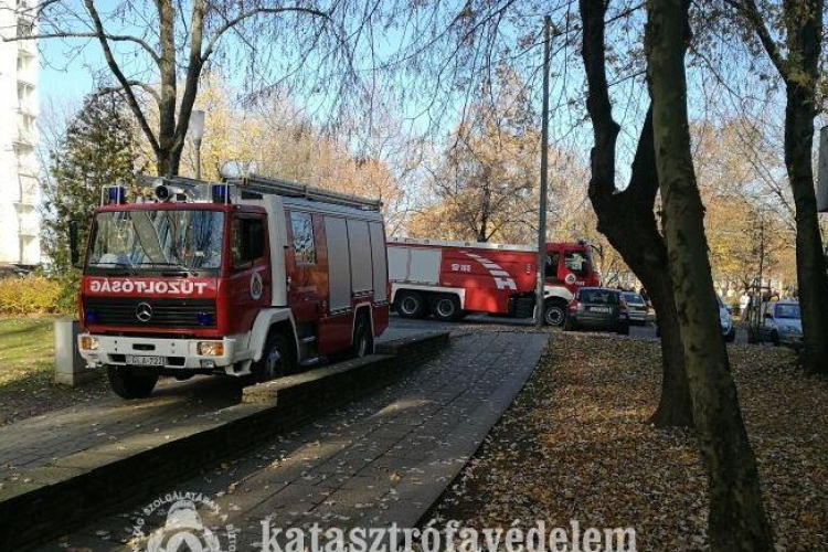 Ellenőrző gyakorlat Pakson